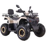 Квадроцикл SPARK SP200-10 200cc 4T (Автомат, Реверс)