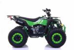 Квадроцикл Commander 200cc EFI (Автомат, 4×2, Інжектор, CVT) - Зображення 7