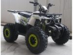 Квадроцикл FORTE ATV125 Hunter 125cc (Автомат, 4×2, Дитячий) - Зображення 2