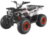 Квадроцикл FORTE ATV125 Hunter 125cc (Автомат, 4×2, Дитячий)