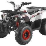 Квадроцикл FORTE ATV125 Hunter 125cc (Автомат, 4×2, Дитячий)