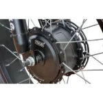 Триколісний електрофетбайк EBIKE TRIKE 20 1000W 48V (20×4″) вантажний LCD PAS - Зображення 3