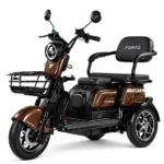 Електротрицикл Forte Family-WN1072 1000W 72V ( 3-колісний)