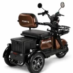 Електротрицикл Forte Family-WN1072 1000W 72V ( 3-колісний) - Зображення 3