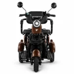 Електротрицикл Forte Family-WN1072 1000W 72V ( 3-колісний) - Зображення 2