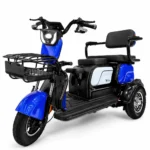 Електротрицикл TriGo 1000W 72V 20Ah (пасажирсько-вантажний, 3-колісний)
