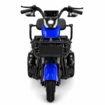Електротрицикл TriGo 1000W 72V 20Ah (пасажирсько-вантажний, 3-колісний) - Зображення 3